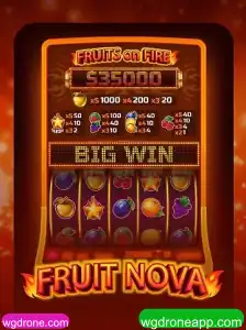 FruitNova: A Fascinante Jornada pelo Mundo dos Frutos
