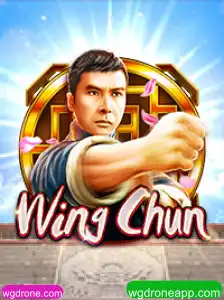 Descubra o Jogo WingChun: Descrição, Introdução e Regras